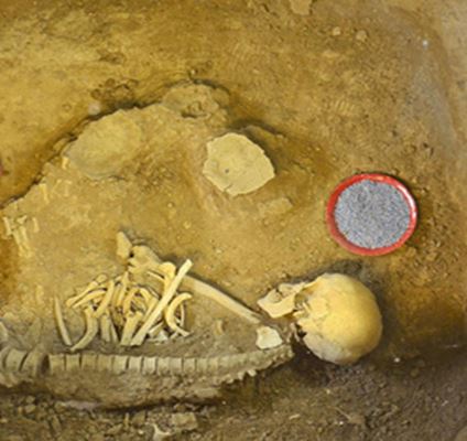 The Iron Age Museum of Tabriz; A Journey through Human History